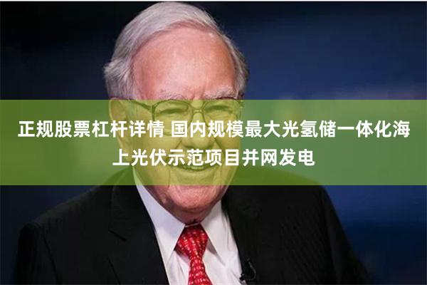 正规股票杠杆详情 国内规模最大光氢储一体化海上光伏示范项目并网发电