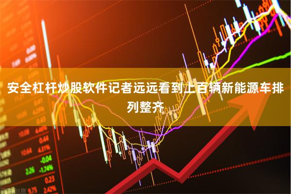 安全杠杆炒股软件记者远远看到上百辆新能源车排列整齐