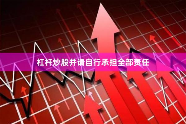 杠杆炒股并请自行承担全部责任