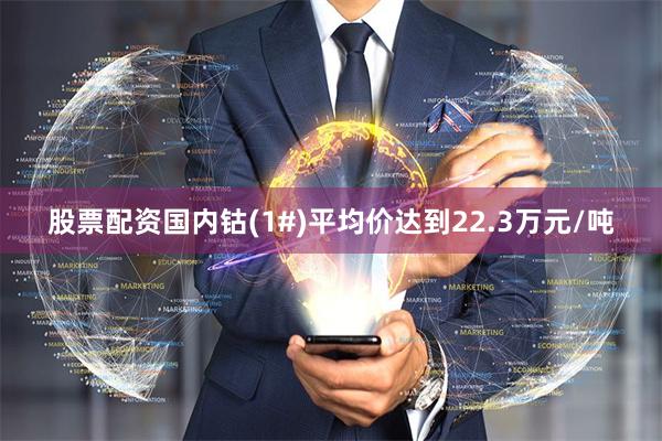 股票配资国内钴(1#)平均价达到22.3万元/吨