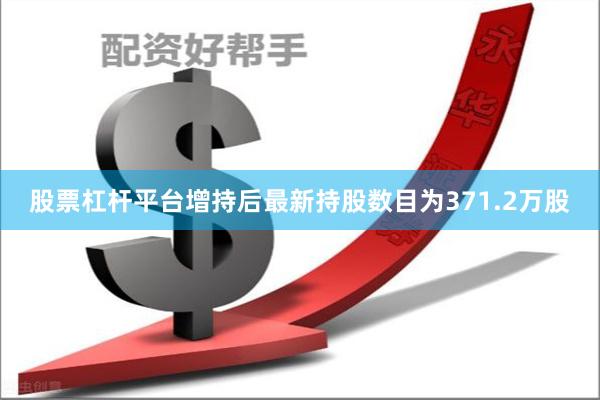 股票杠杆平台增持后最新持股数目为371.2万股