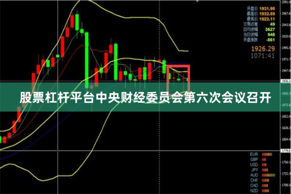 股票杠杆平台中央财经委员会第六次会议召开
